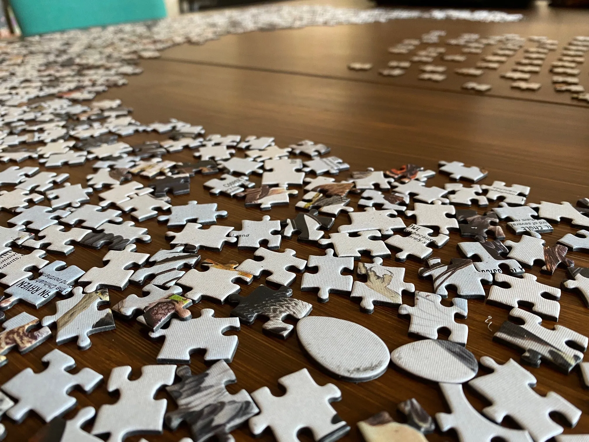 1500-Piece Wingspan Puzzle