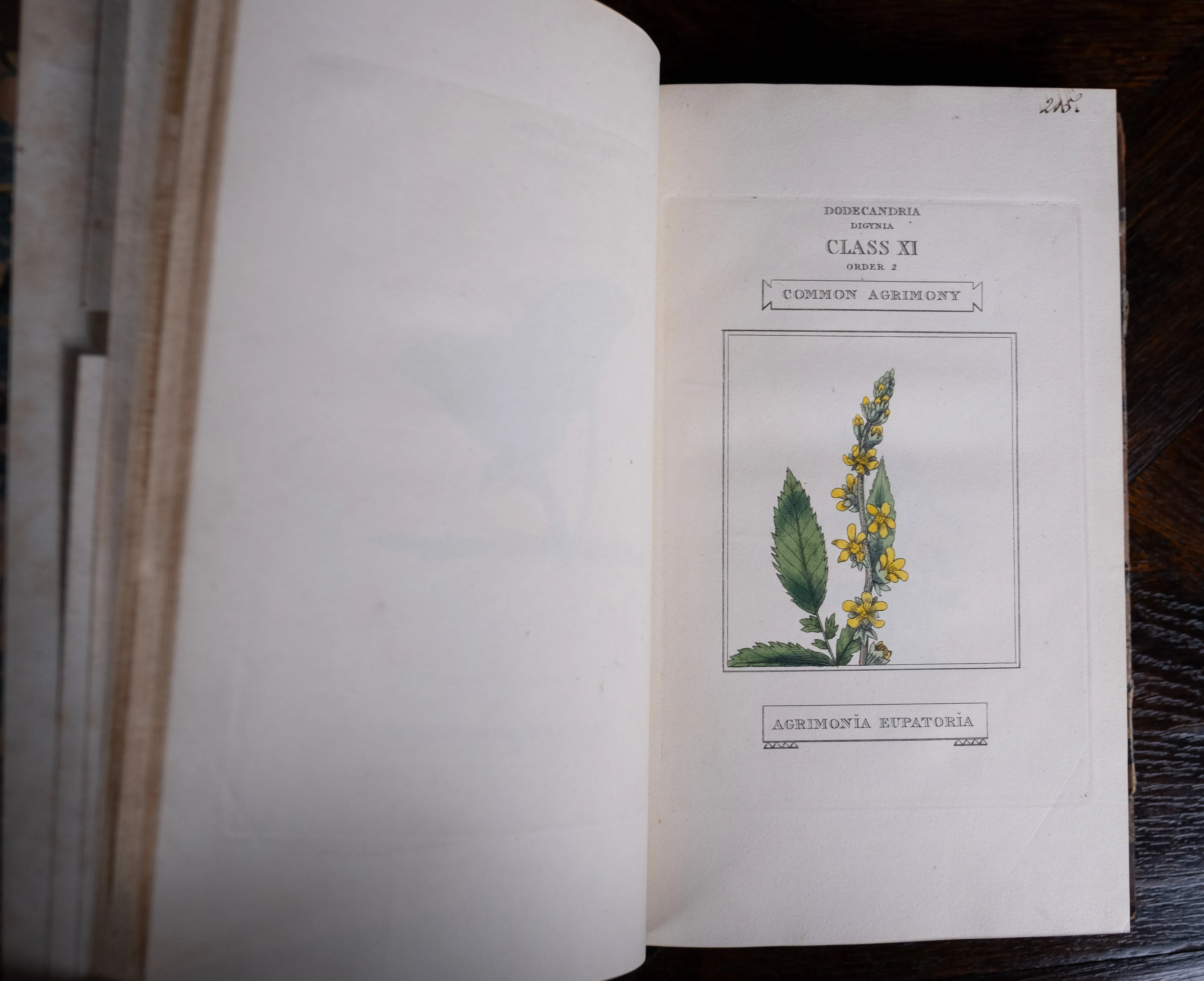 1816 The Class And Orders Of The Linnaean System Of Botany. First Edition.