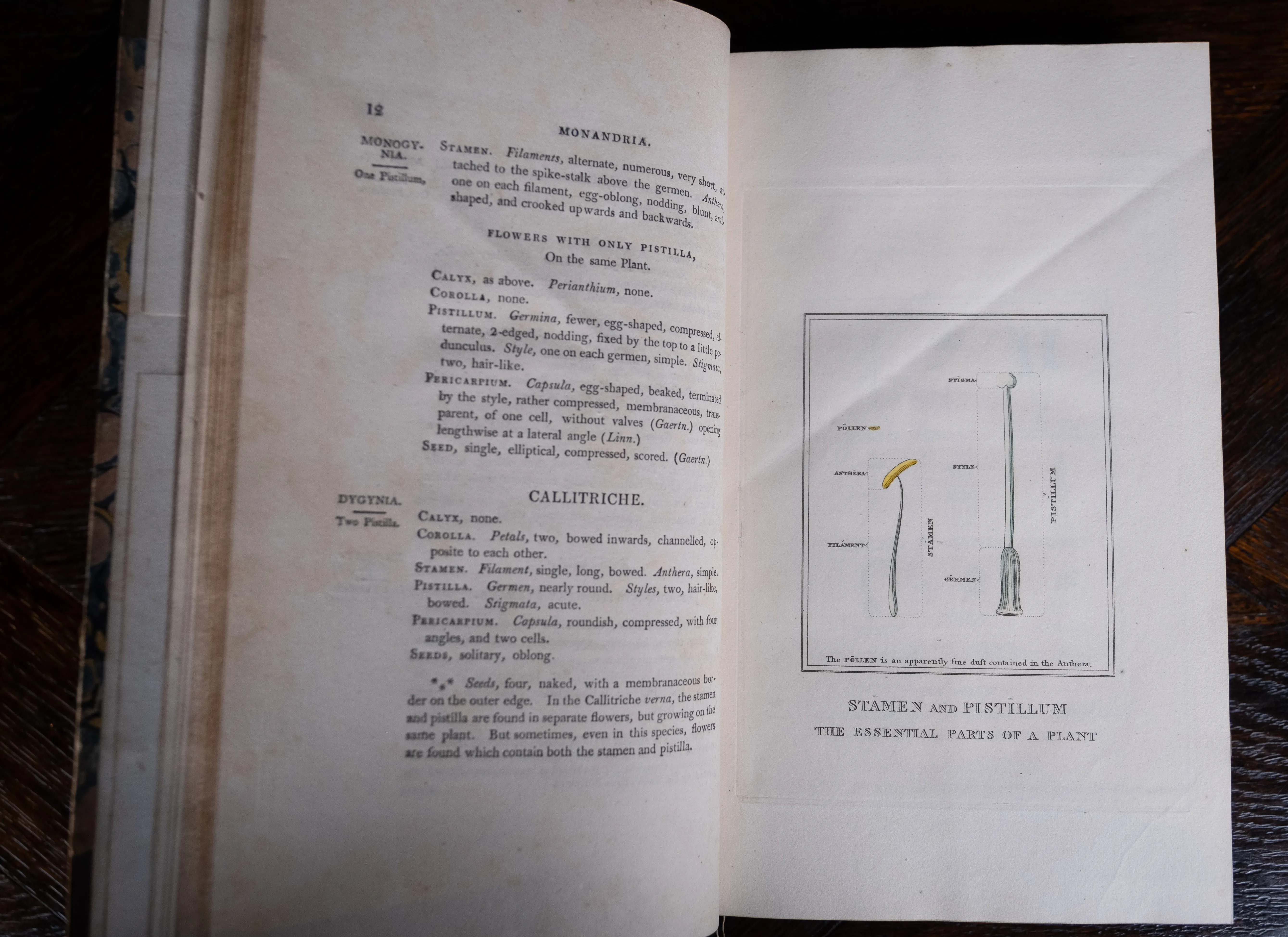 1816 The Class And Orders Of The Linnaean System Of Botany. First Edition.