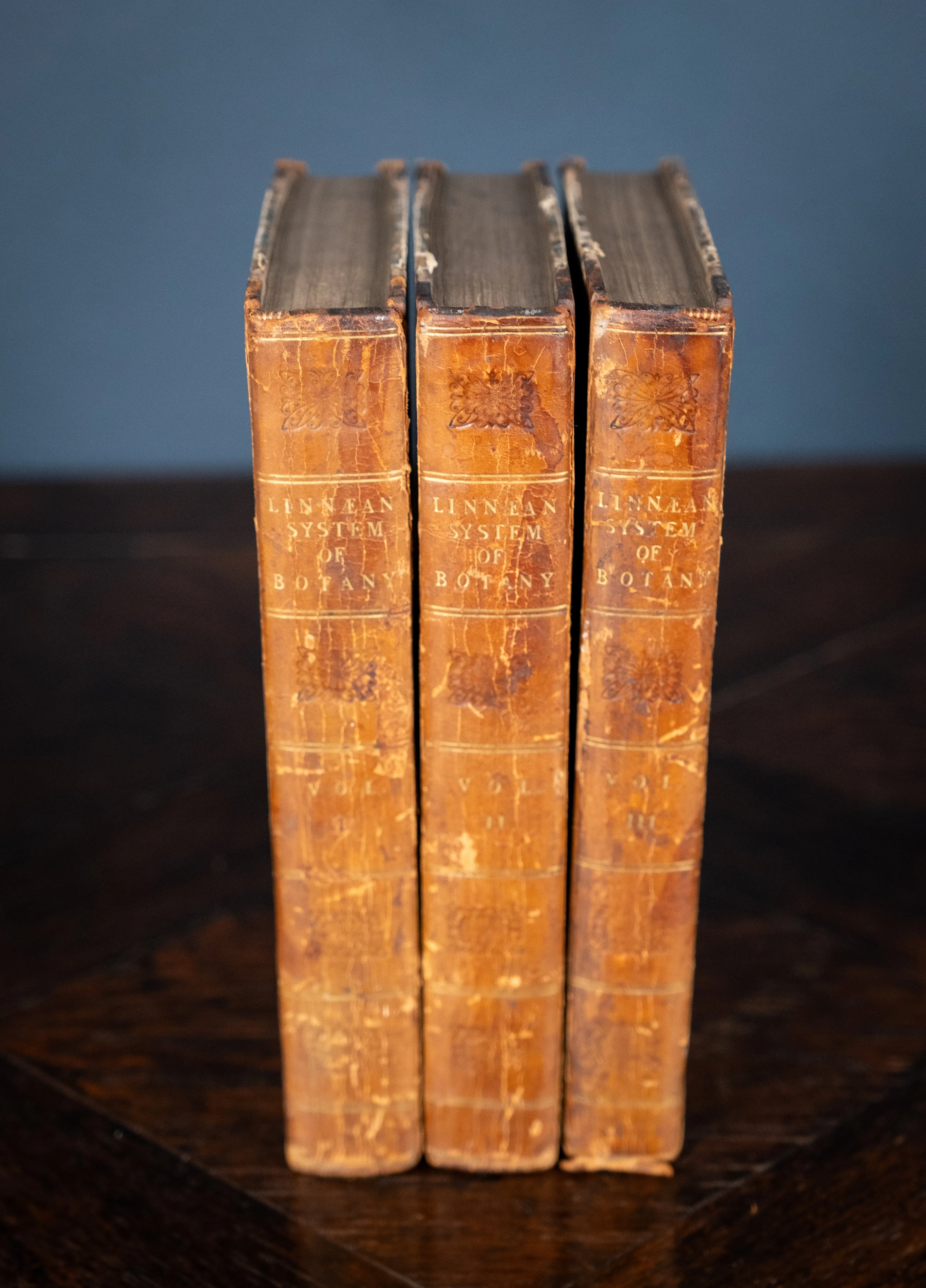 1816 The Class And Orders Of The Linnaean System Of Botany. First Edition.