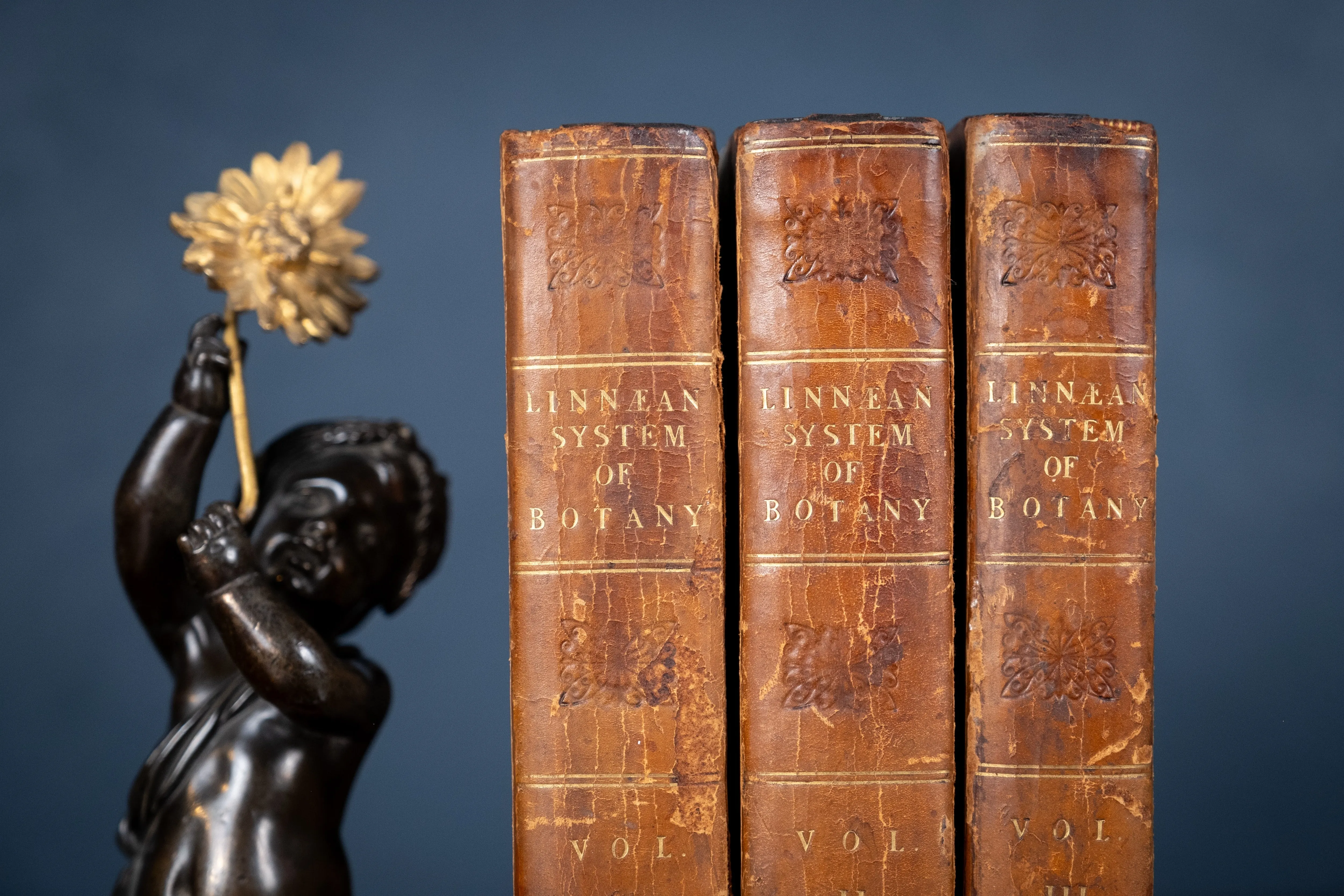 1816 The Class And Orders Of The Linnaean System Of Botany. First Edition.