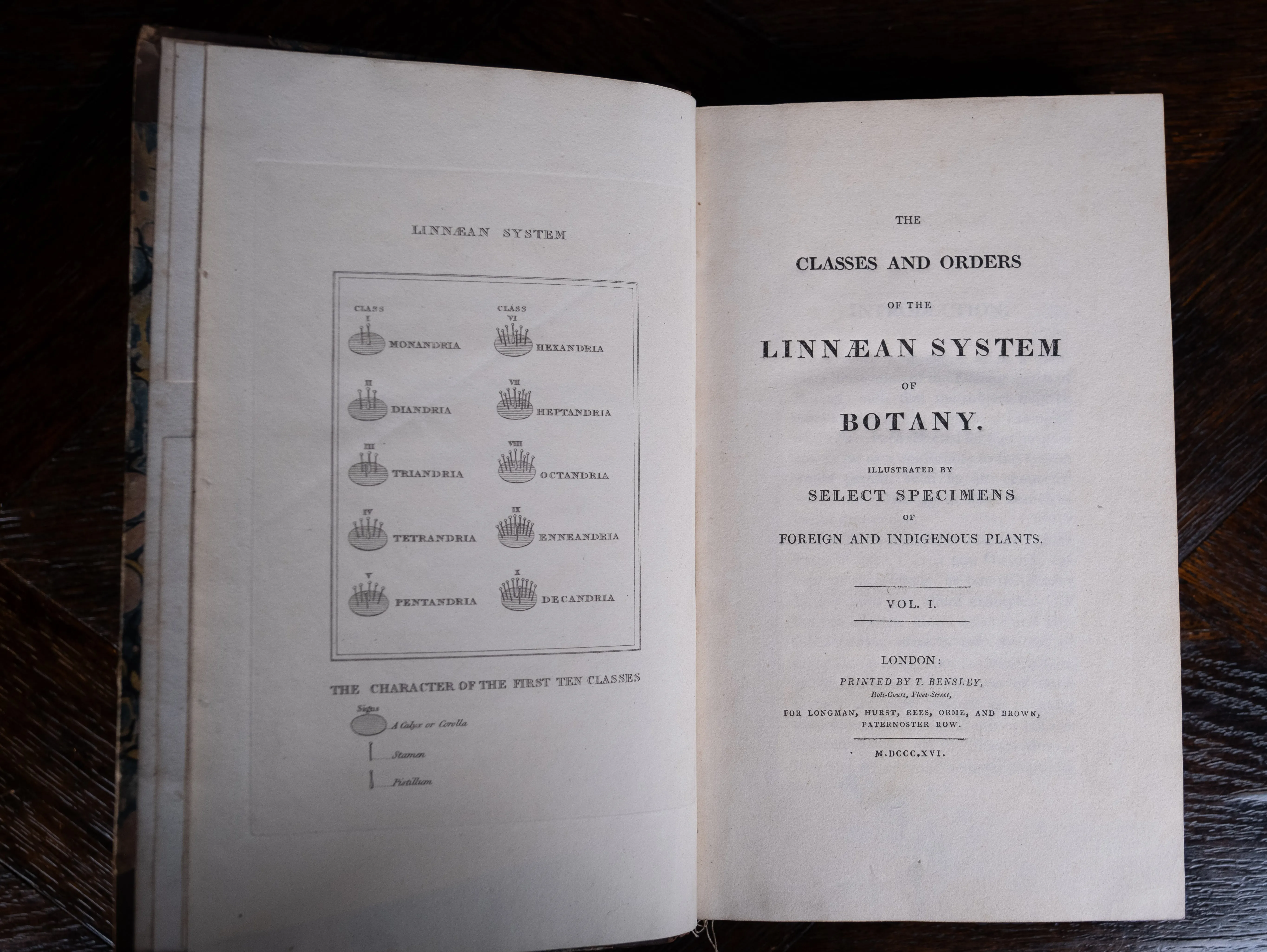 1816 The Class And Orders Of The Linnaean System Of Botany. First Edition.