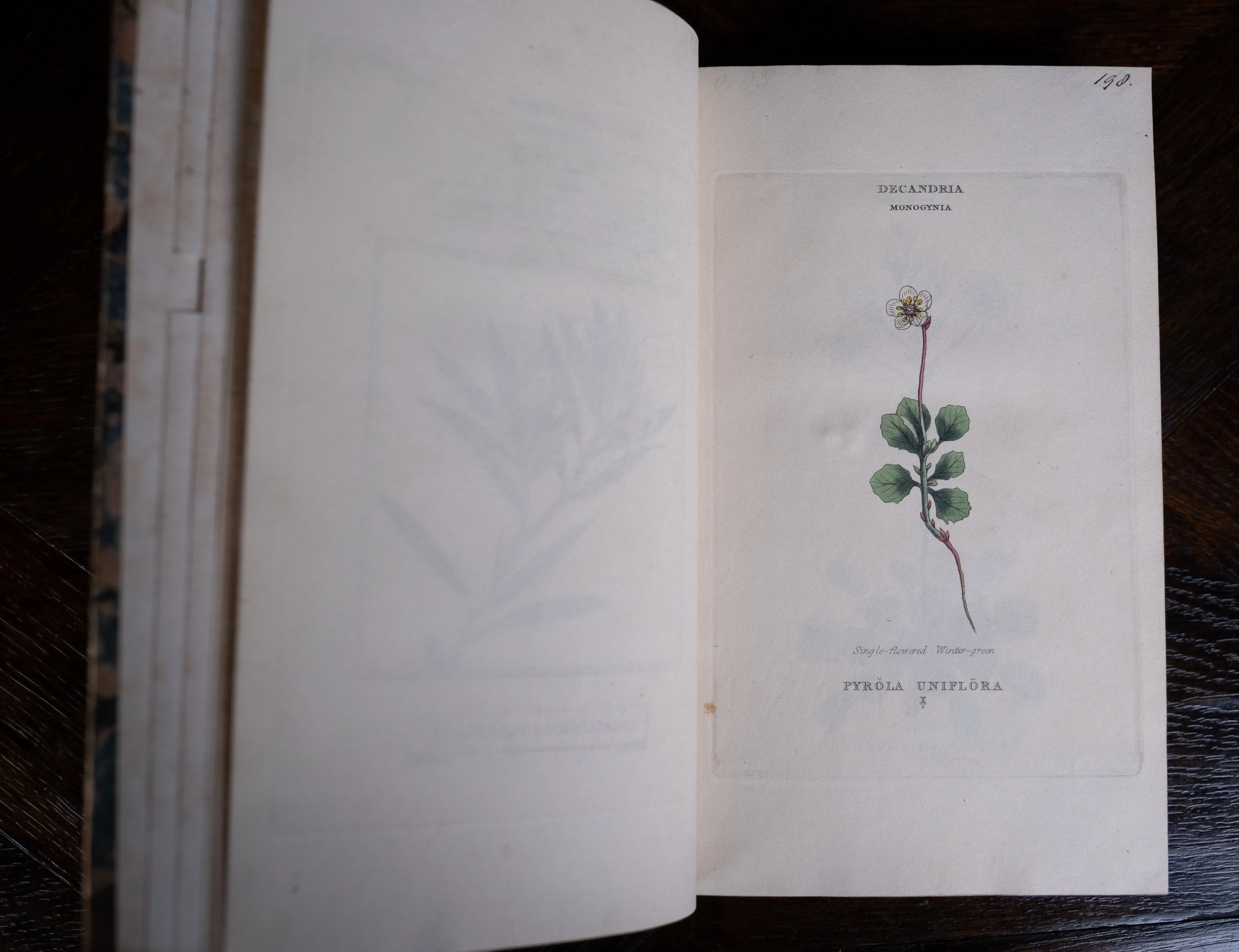 1816 The Class And Orders Of The Linnaean System Of Botany. First Edition.