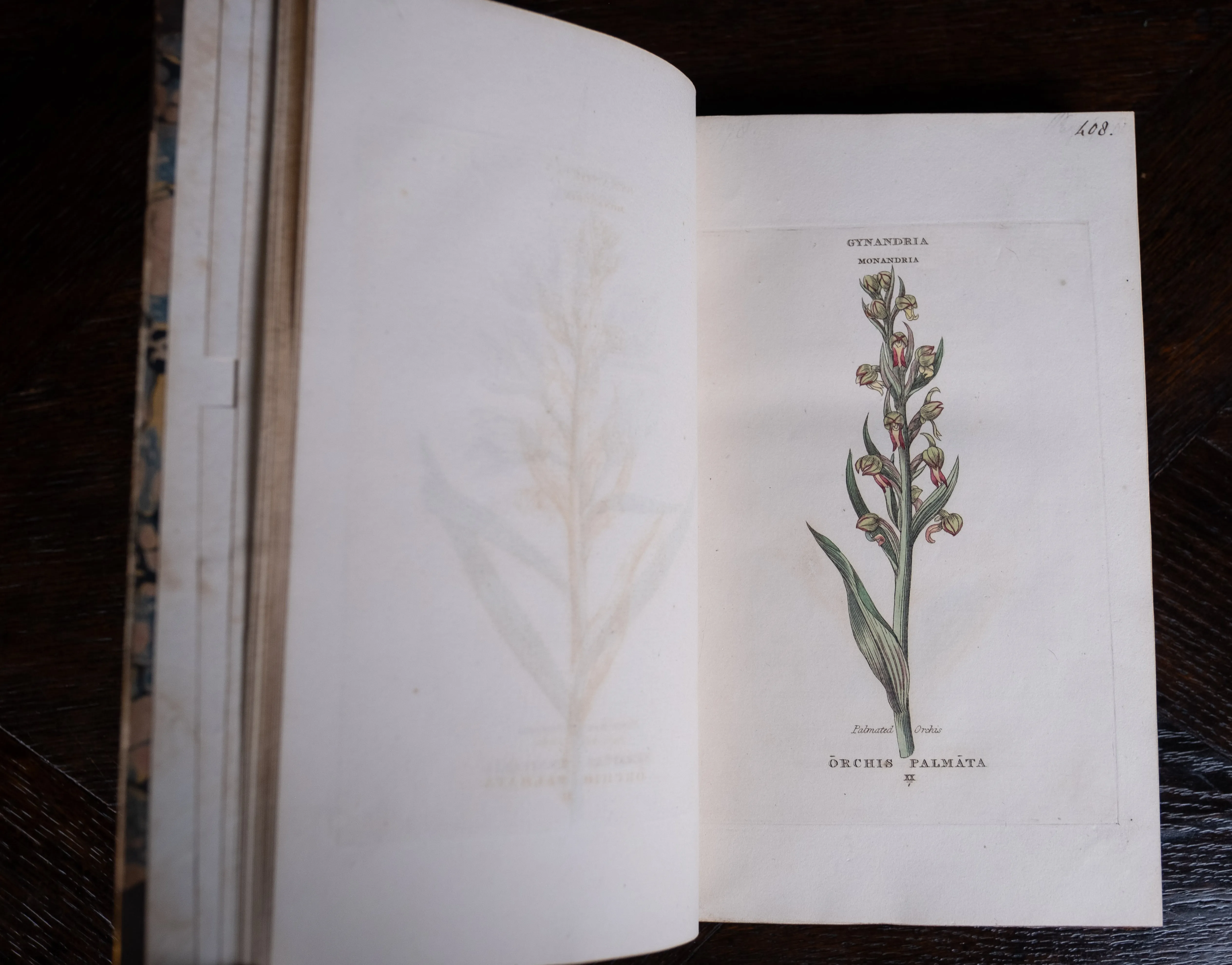 1816 The Class And Orders Of The Linnaean System Of Botany. First Edition.