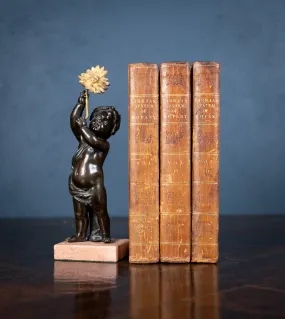 1816 The Class And Orders Of The Linnaean System Of Botany. First Edition.