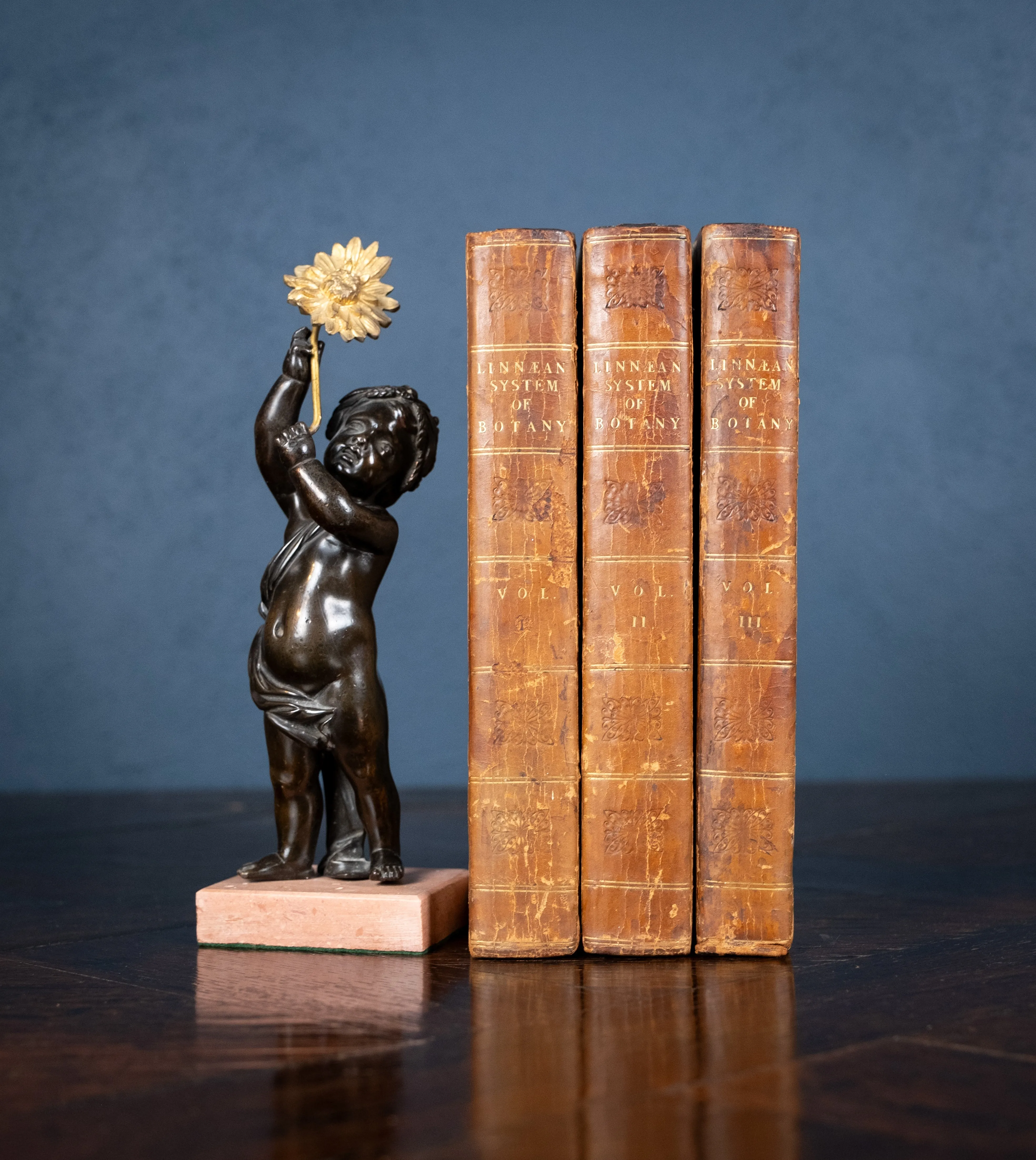 1816 The Class And Orders Of The Linnaean System Of Botany. First Edition.