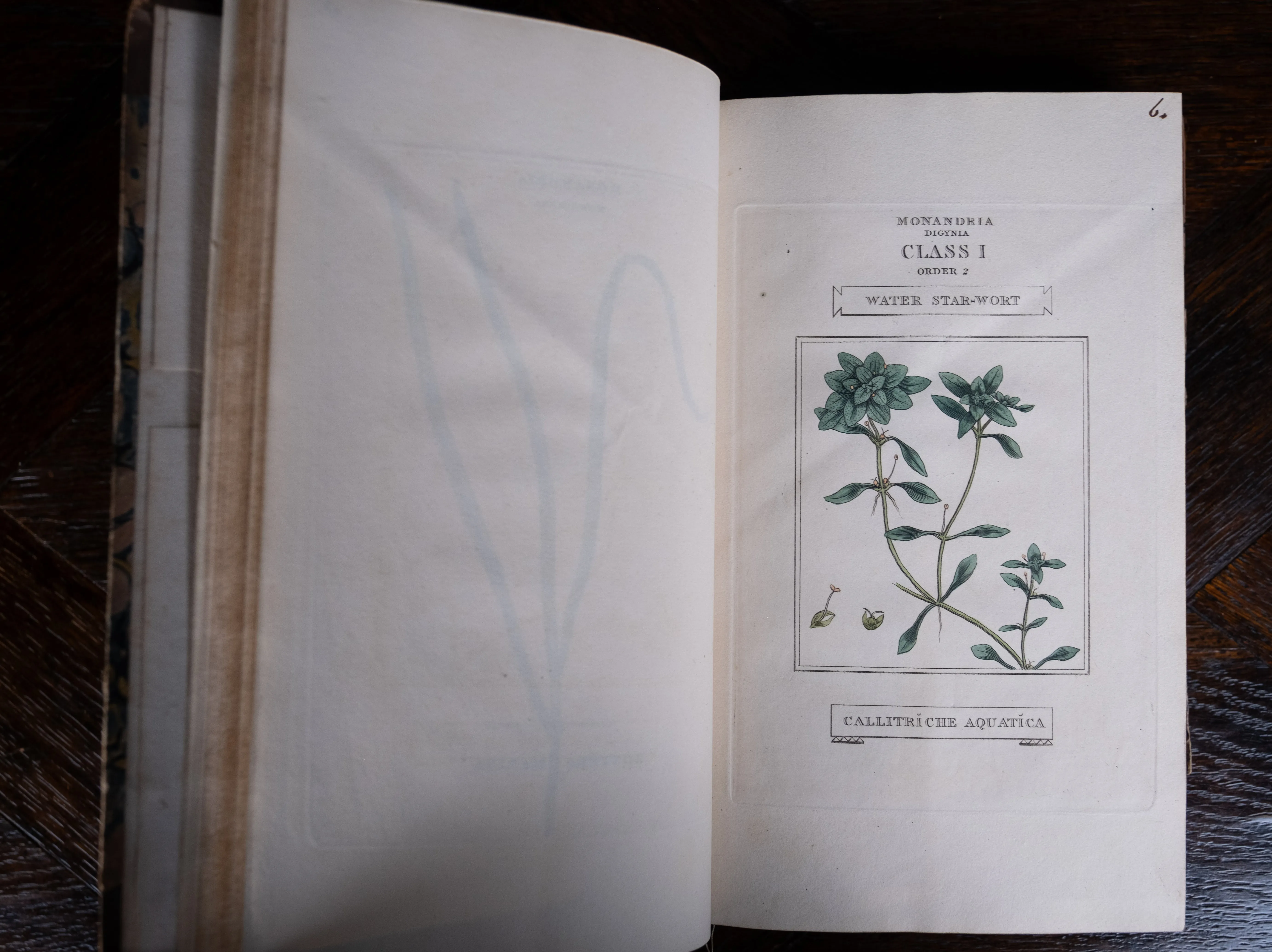 1816 The Class And Orders Of The Linnaean System Of Botany. First Edition.