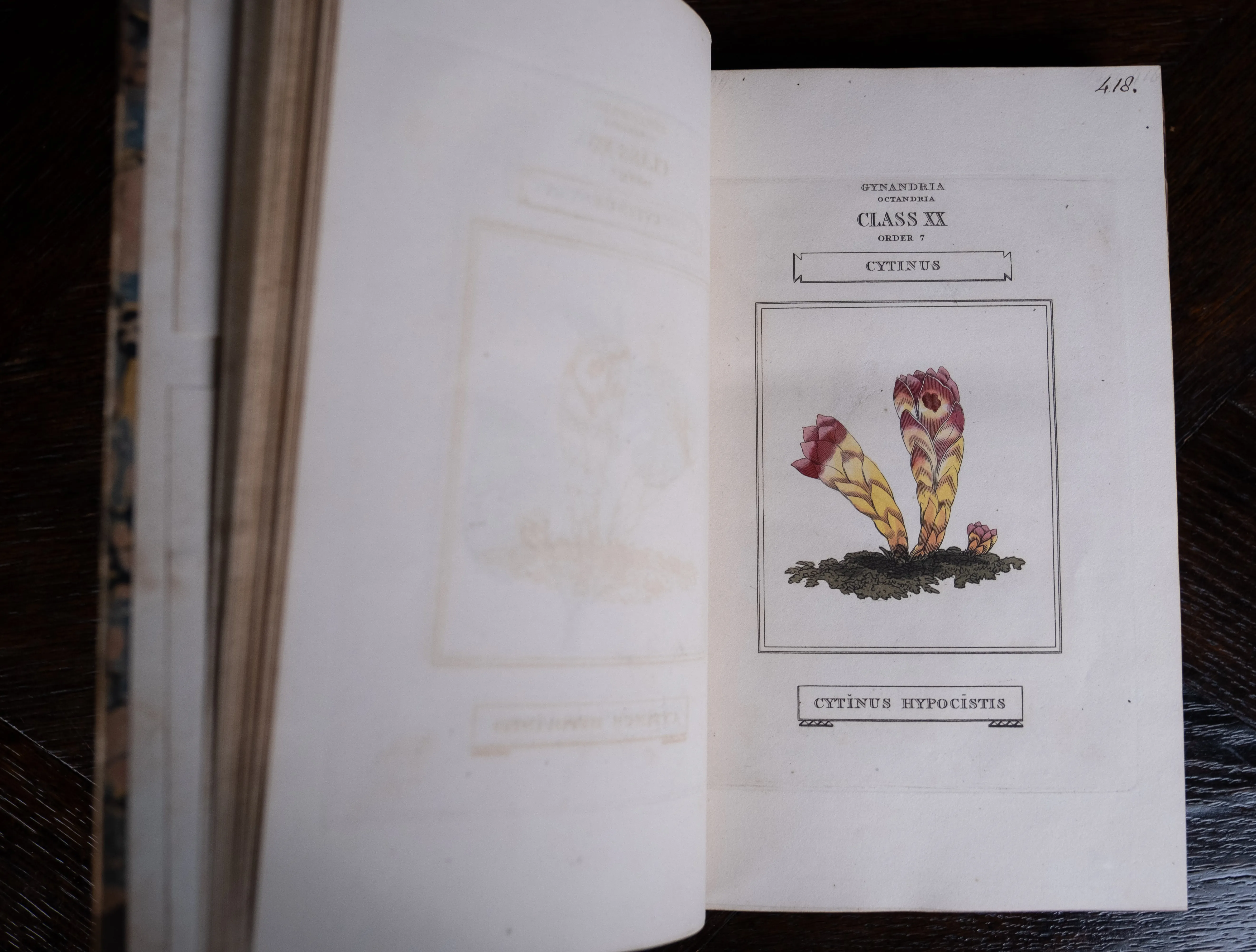 1816 The Class And Orders Of The Linnaean System Of Botany. First Edition.