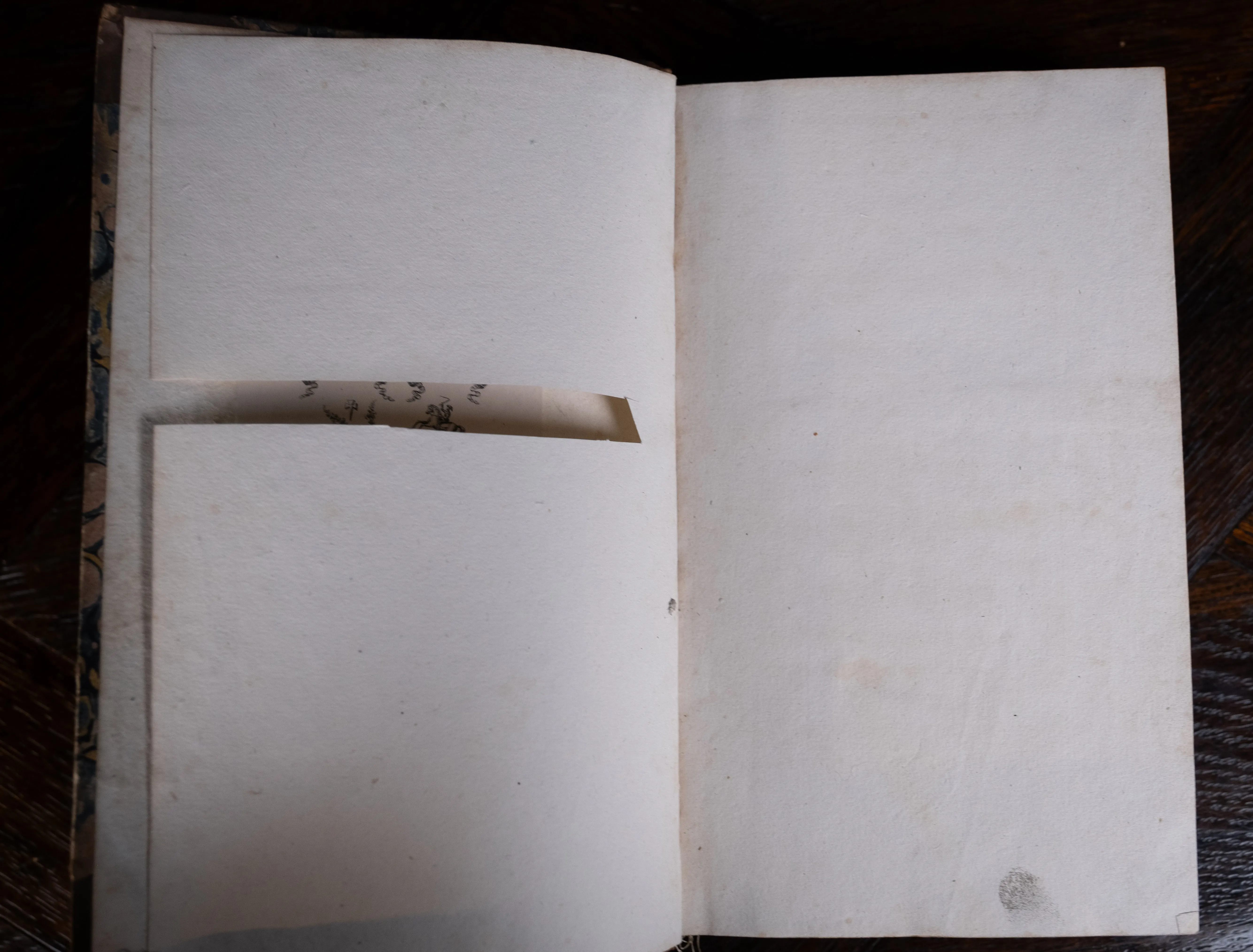 1816 The Class And Orders Of The Linnaean System Of Botany. First Edition.