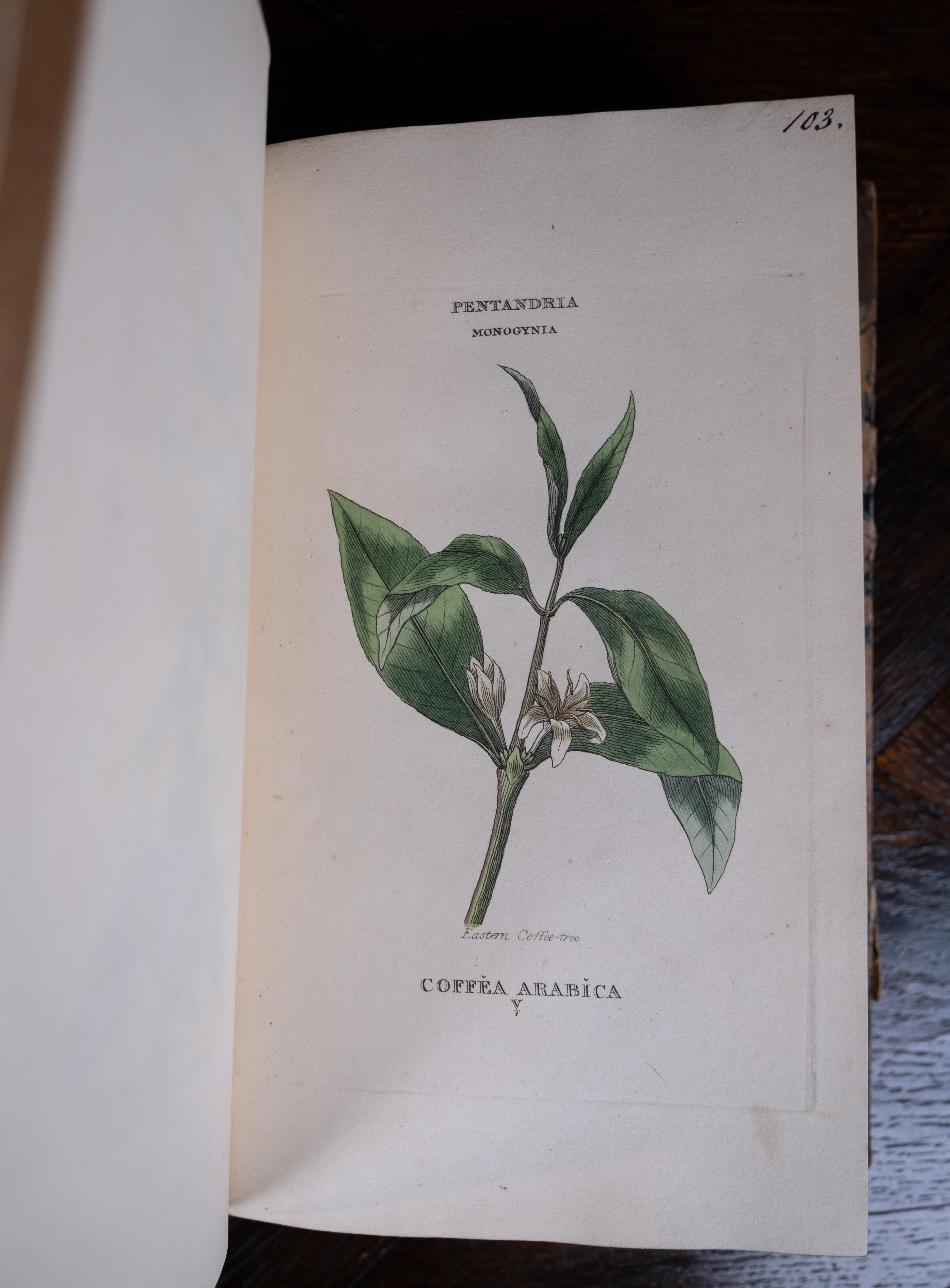 1816 The Class And Orders Of The Linnaean System Of Botany. First Edition.