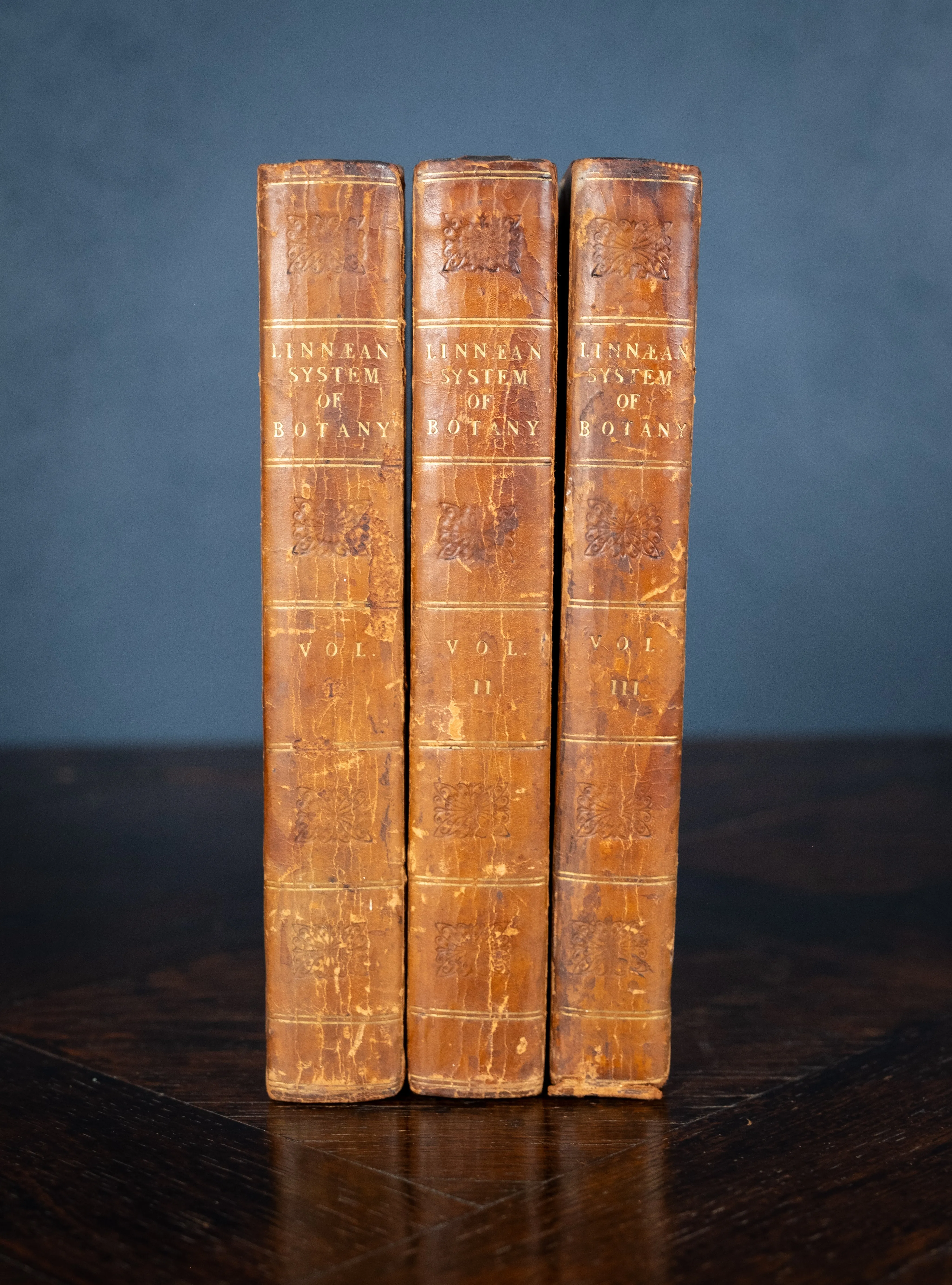 1816 The Class And Orders Of The Linnaean System Of Botany. First Edition.