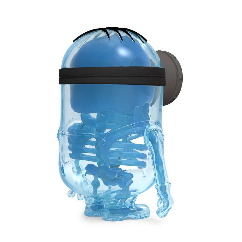 Despicable Me 4 - Minion Anatomy 8" Art Figure - GID X-ray AVL Edition (Limited Edition of 300) (PRE-ORDER) - SOLD OUT