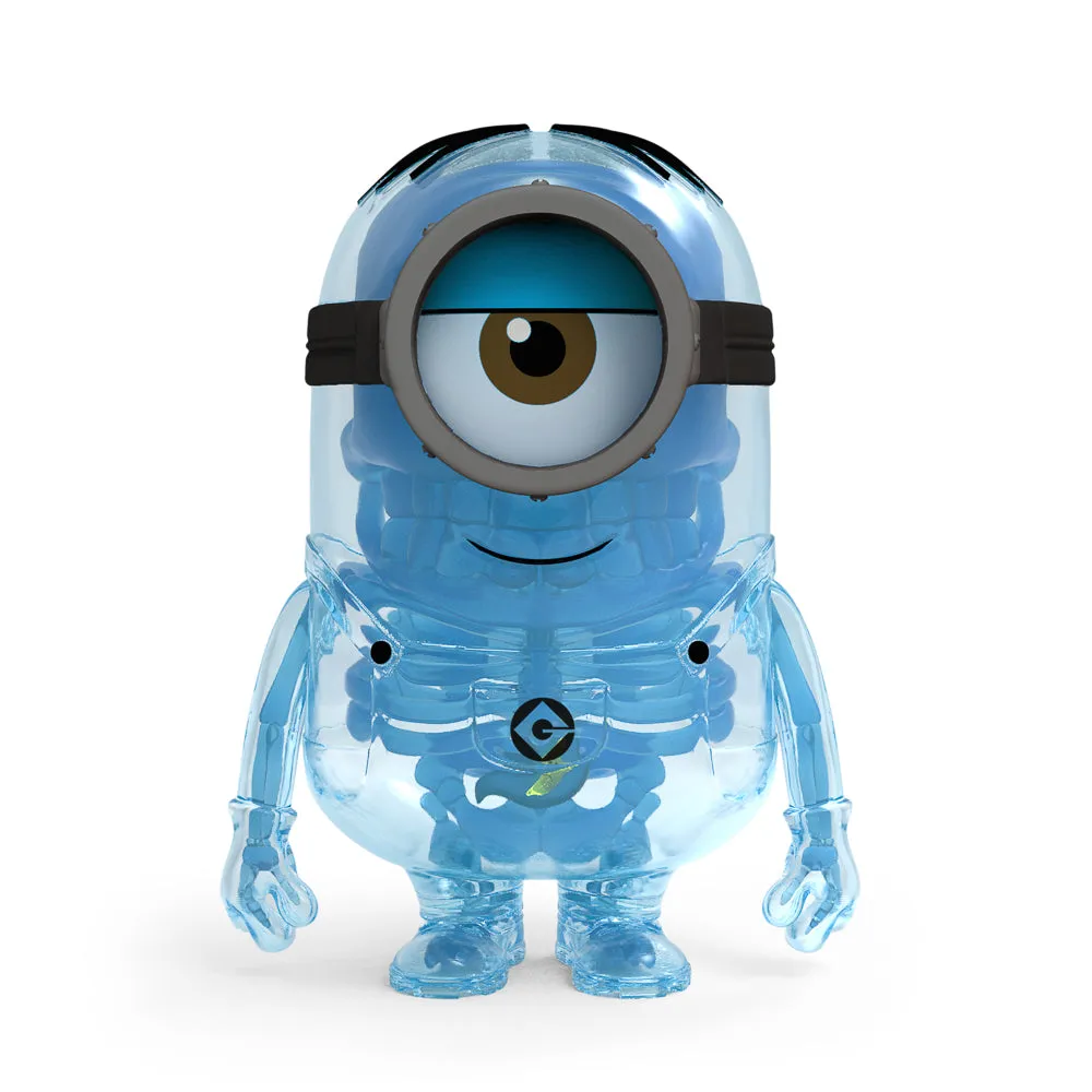 Despicable Me 4 - Minion Anatomy 8" Art Figure - GID X-ray AVL Edition (Limited Edition of 300) (PRE-ORDER) - SOLD OUT