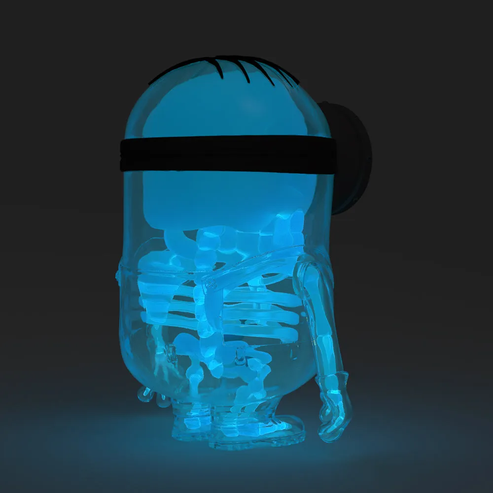 Despicable Me 4 - Minion Anatomy 8" Art Figure - GID X-ray AVL Edition (Limited Edition of 300) (PRE-ORDER) - SOLD OUT