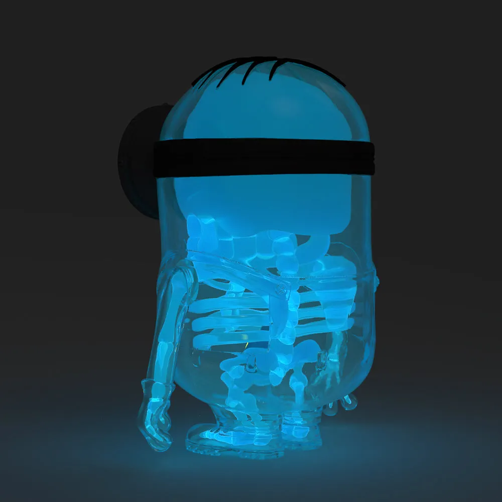Despicable Me 4 - Minion Anatomy 8" Art Figure - GID X-ray AVL Edition (Limited Edition of 300) (PRE-ORDER) - SOLD OUT