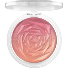 in the bloom'light blushlighter