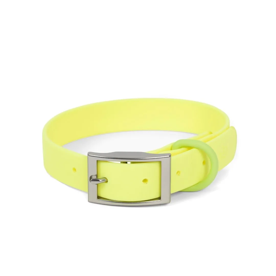 Limited Edition! Tennis Ball Waterproof PVC Collar