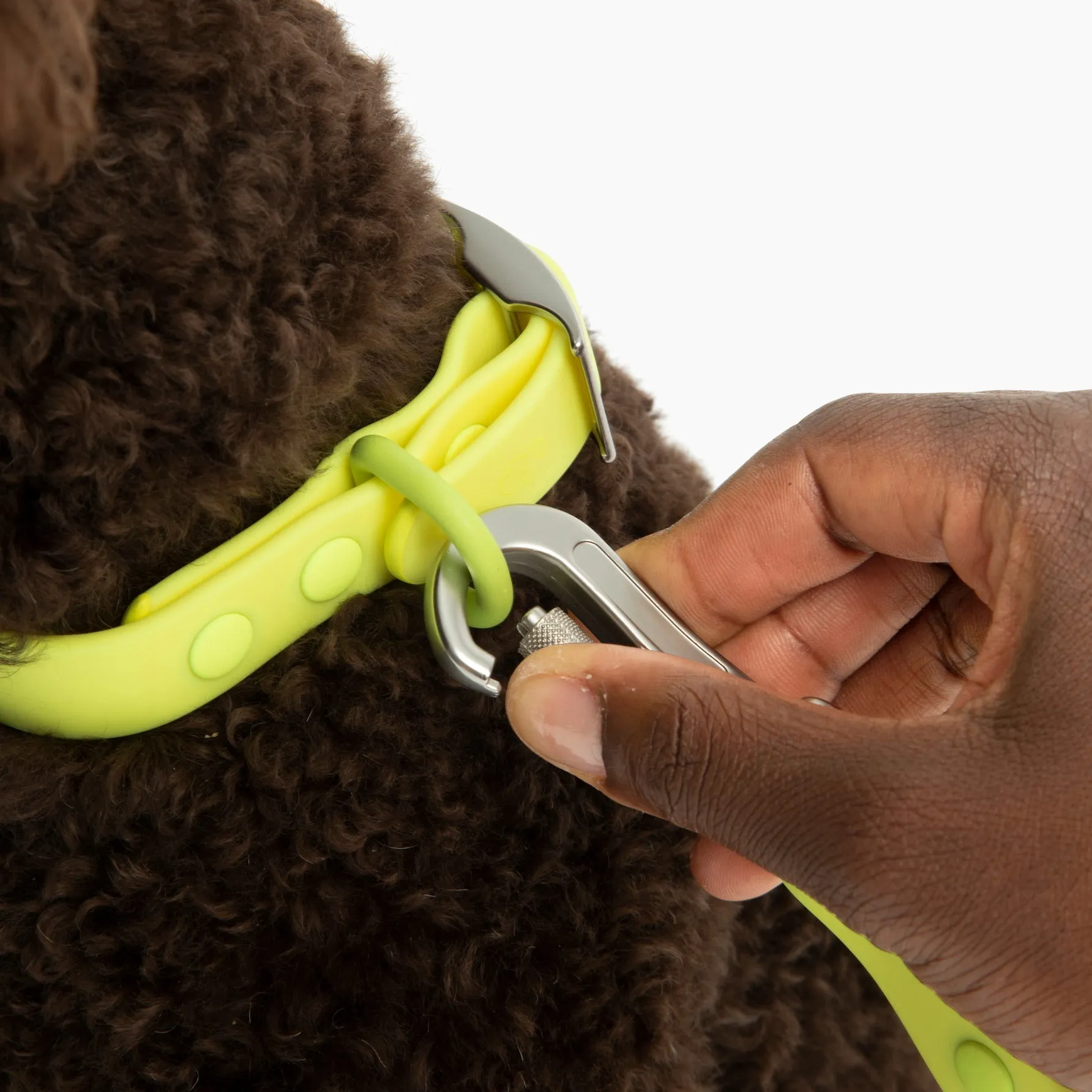 Limited Edition! Tennis Ball Waterproof PVC Collar