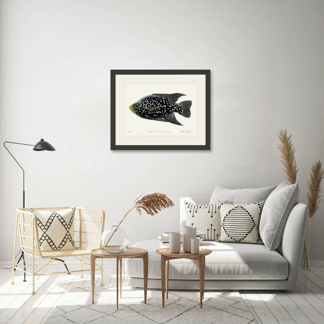 Starry Night Cichlid I Print