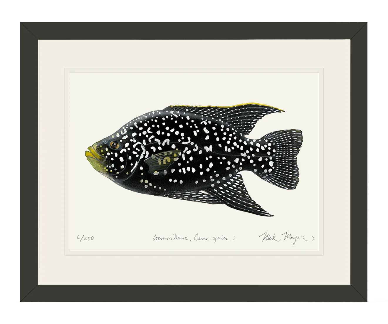 Starry Night Cichlid I Print