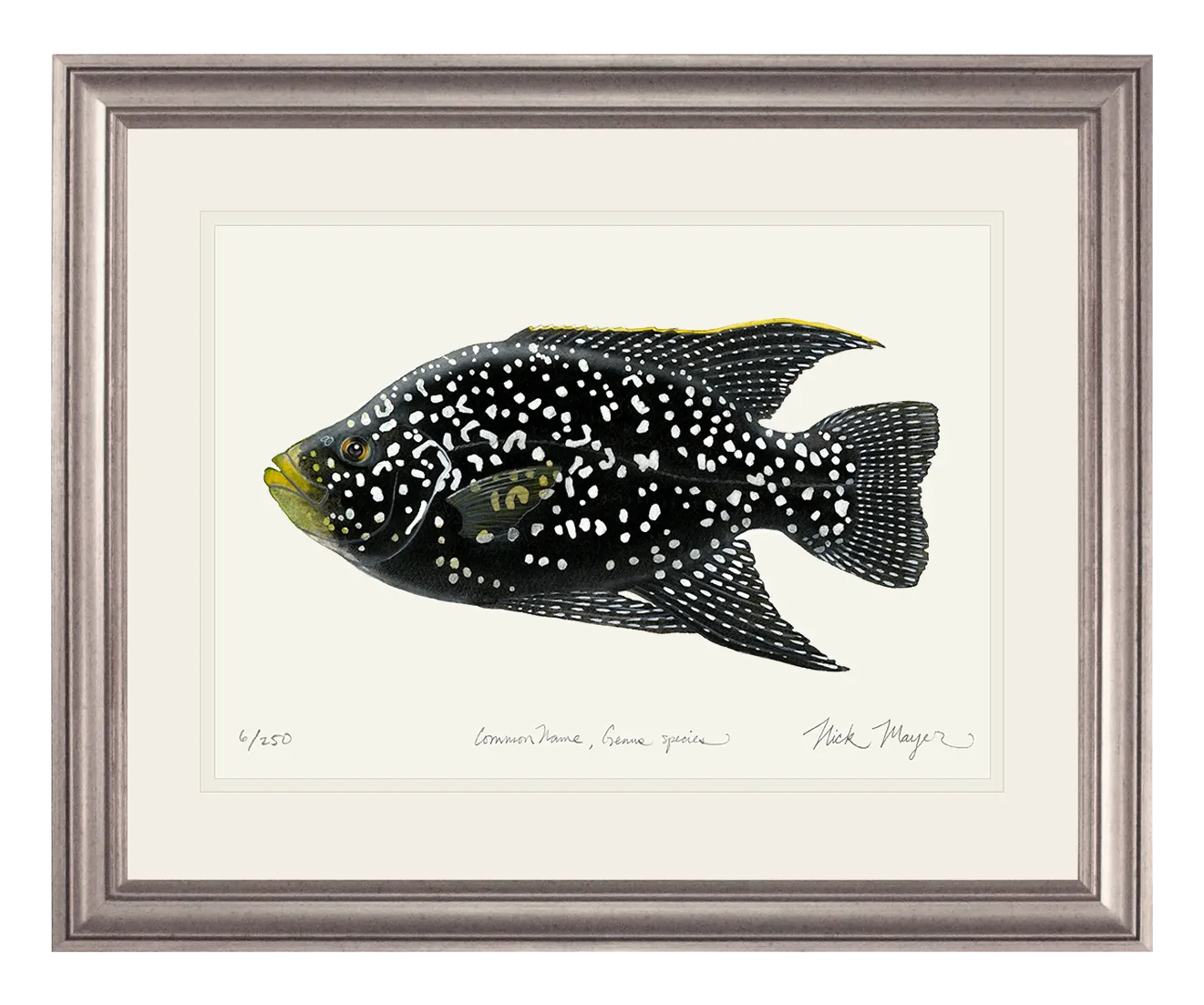 Starry Night Cichlid I Print